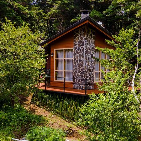 Los Pinos Cabins & Reserve Монте-Верде Экстерьер фото