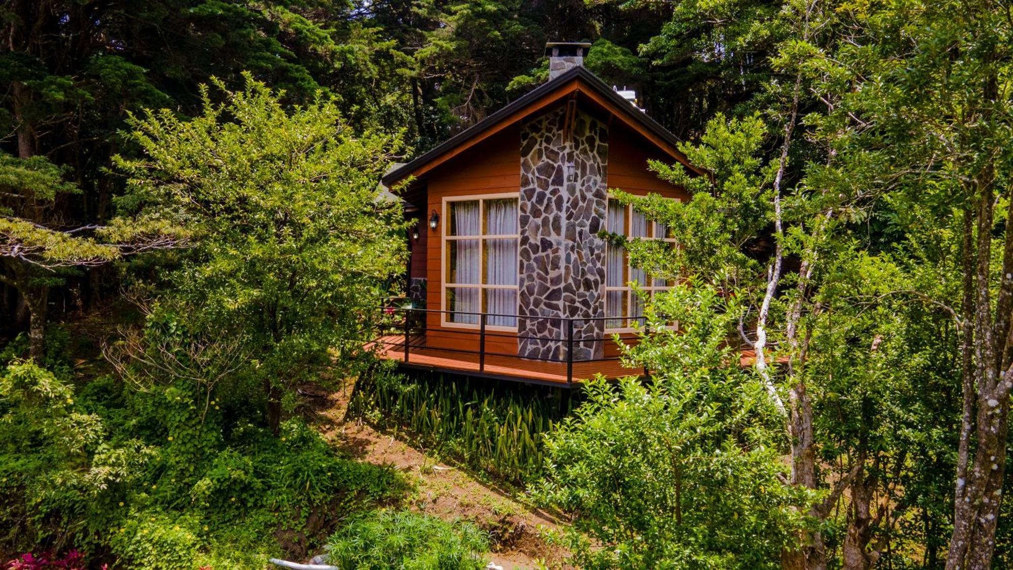 Los Pinos Cabins & Reserve Монте-Верде Экстерьер фото