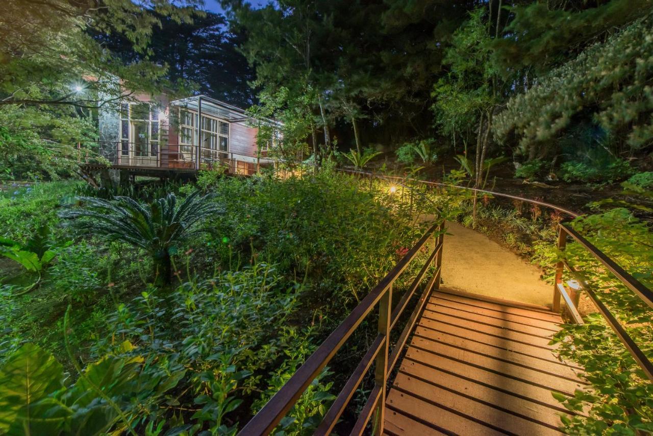 Los Pinos Cabins & Reserve Монте-Верде Экстерьер фото